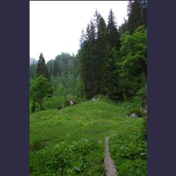 2007-05_09Saletsteig (167).JPG
